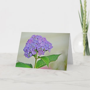 Hydrangea Note Card Karte
