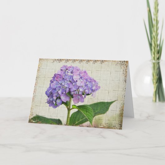 Hydrangea Notecard Karte (Vorderseite)