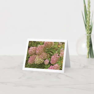 "HYDRANGEA" NOTECARD KARTE