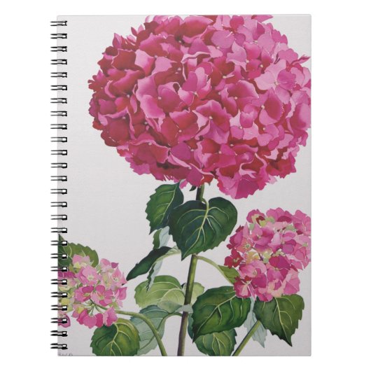 Hydrangea Notizblock (Vorderseite)