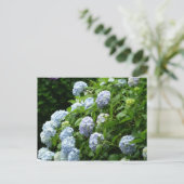 Hydrangea Nr. 1 Postkarte (Stehend Vorderseite)