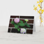 Hydrangea on Brick Karte (Gelbe Blume)