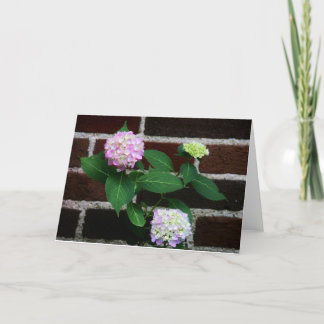 Hydrangea on Brick Karte