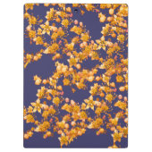 Hydrangea-Orange und Marine Klemmbrett (Rückseite)