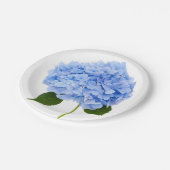 Hydrangea Pappteller (Schrägansicht)