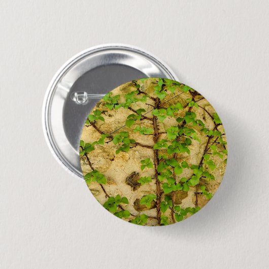 Hydrangea petiolaris Abzeichen Button (Vorne & Hinten)