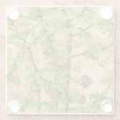 Hydrangea petiolaris glasuntersetzer (Rückseite)