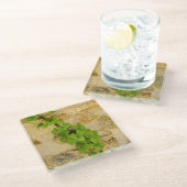 Hydrangea petiolaris glasuntersetzer (Schrägansicht)