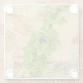 Hydrangea petiolaris glasuntersetzer (Rückseite)