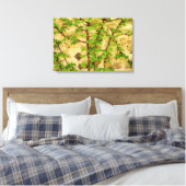 Hydrangea petiolaris leinwanddruck (Insitu (Schlafzimmer))