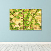 Hydrangea petiolaris leinwanddruck (Insitu (Holzboden))