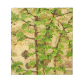 Hydrangea petiolaris notizblock (Vorderseite)