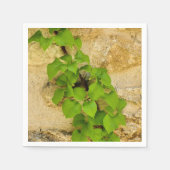 Hydrangea petiolaris Paper Napkins Serviette (Vorderseite)