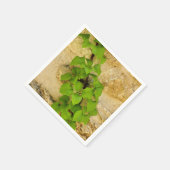 Hydrangea petiolaris Paper Napkins Serviette (Ecke)