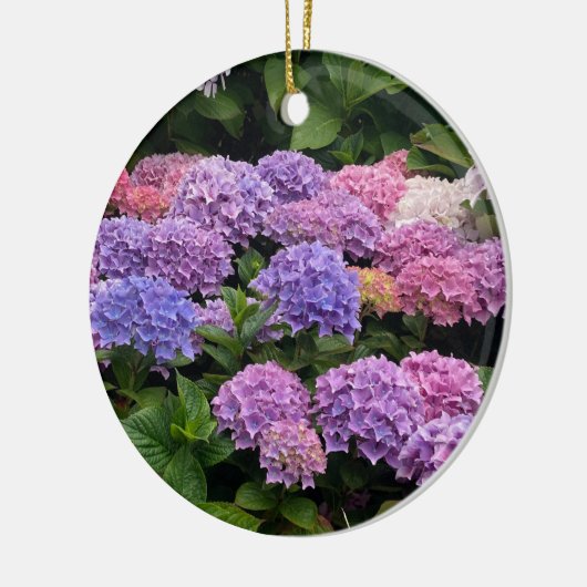 Hydrangea Photograph Keramik Ornament (Links)