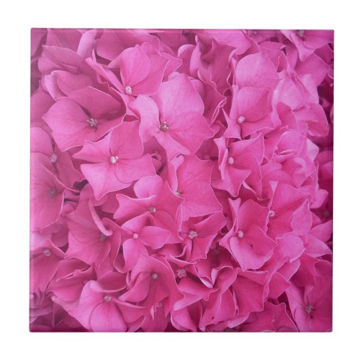 Hydrangea Pink Blume Muster Fliese (Vorderseite)