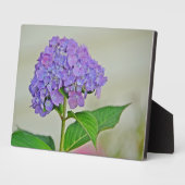 Hydrangea Plaque Fotoplatte (Seite)