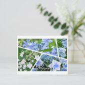 Hydrangea Postcard ポ ト ド Postkarte (Stehend Vorderseite)