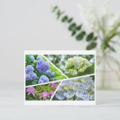 Hydrangea Postcard ポ ト ド Postkarte (Stehend Vorderseite)