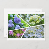 Hydrangea Postcard ポ ト ド Postkarte (Vorne/Hinten)