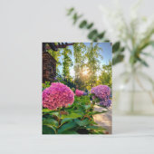 Hydrangea Postcard! Postkarte (Stehend Vorderseite)