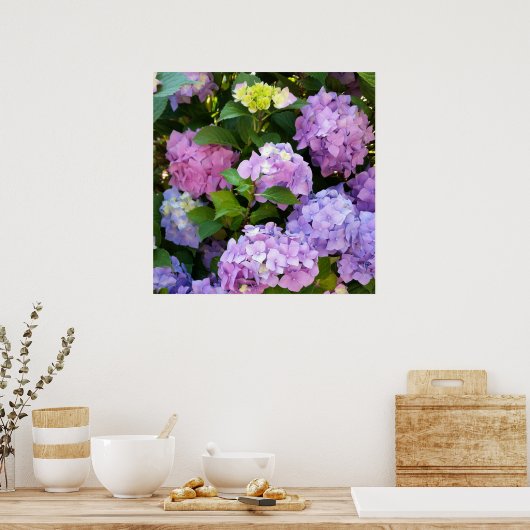 Hydrangea Poster (Küche)