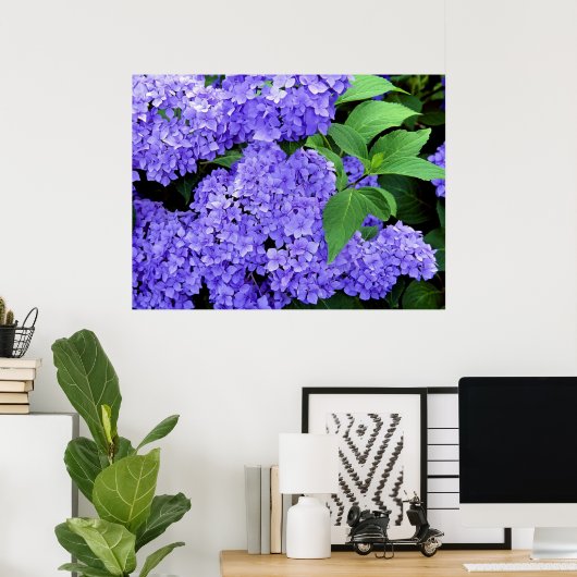 Hydrangea Poster (Heimbüro)