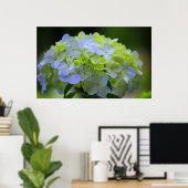 Hydrangea Poster (Heimbüro)