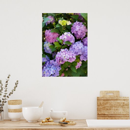 Hydrangea Poster (Küche)