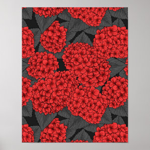 Hydrangea Poster
