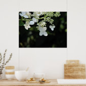 Hydrangea Poster (Küche)
