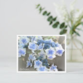 Hydrangea Postkarte (Stehend Vorderseite)