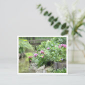 Hydrangea Postkarte (Stehend Vorderseite)