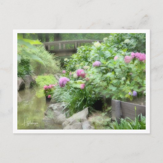 Hydrangea Postkarte (Vorderseite)