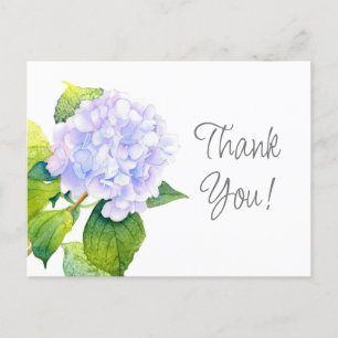 Hydrangea Postkarte