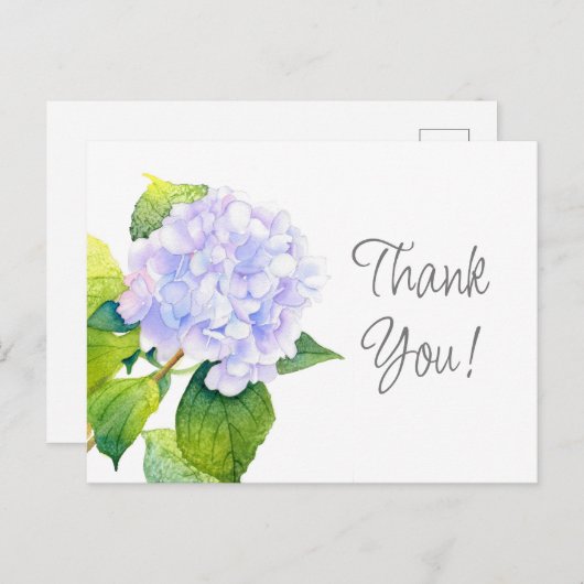 Hydrangea Postkarte (Vorne/Hinten)