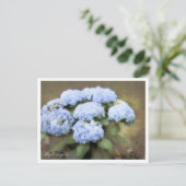 Hydrangea Postkarte (Stehend Vorderseite)
