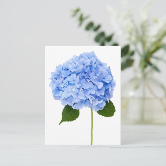 Hydrangea Postkarte (Stehend Vorderseite)