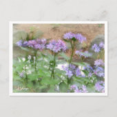 Hydrangea Postkarte (Vorderseite)