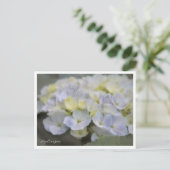 Hydrangea Postkarte (Stehend Vorderseite)