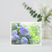 Hydrangea Postkarte (Stehend Vorderseite)