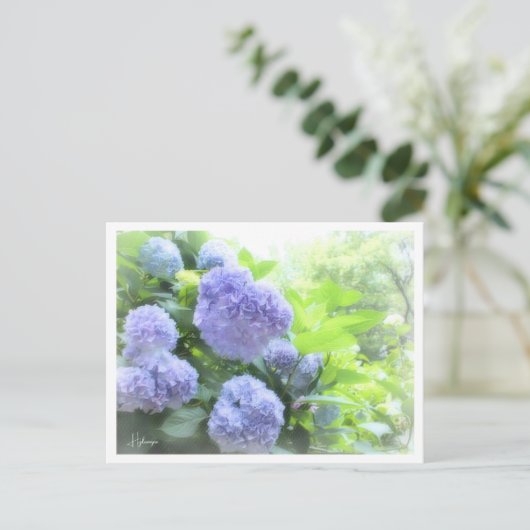 Hydrangea Postkarte (Stehend Vorderseite)
