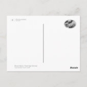 Hydrangea Postkarte (Rückseite)