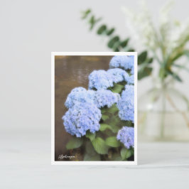 Hydrangea Postkarte