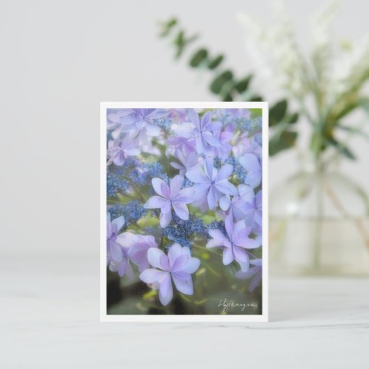 Hydrangea Postkarte (Stehend Vorderseite)