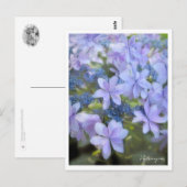 Hydrangea Postkarte (Vorne/Hinten)