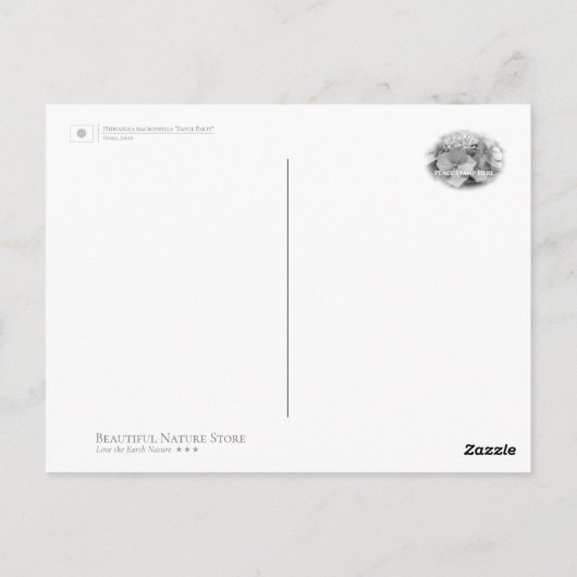 Hydrangea Postkarte (Rückseite)