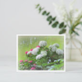 Hydrangea Postkarte (Stehend Vorderseite)