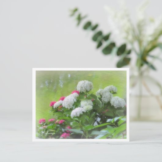 Hydrangea Postkarte (Stehend Vorderseite)