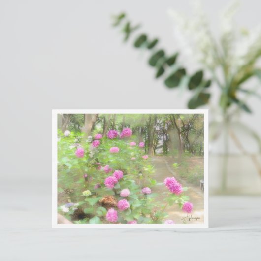 Hydrangea Postkarte (Stehend Vorderseite)